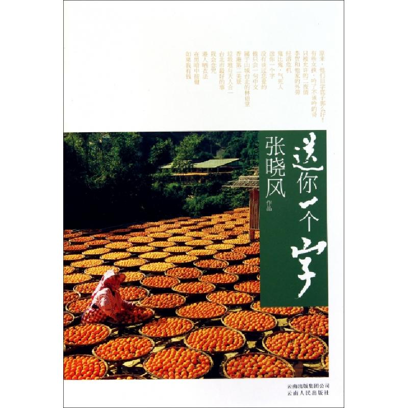 正版新书]送你一个字张晓风9787222073678高清大图