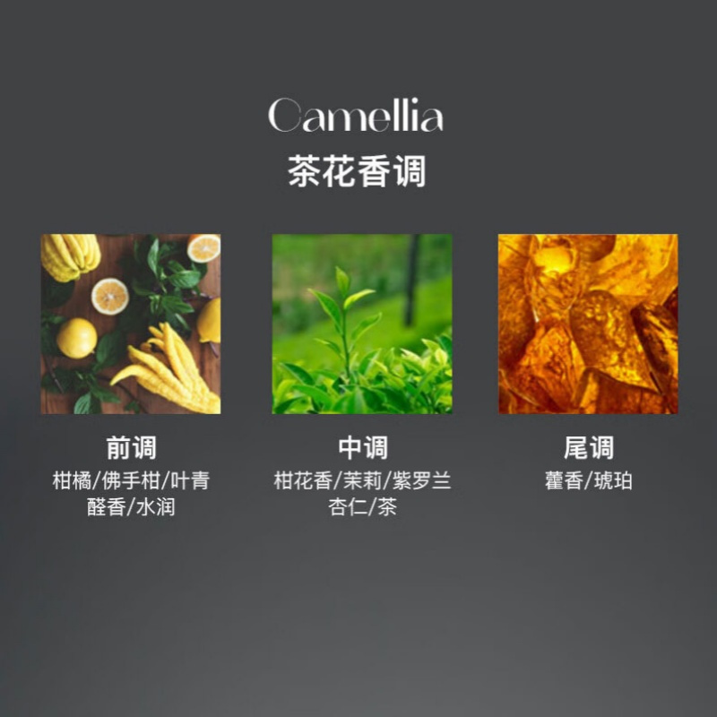 大英博物馆盖亚安德森猫系列香薰晶石散香器套装