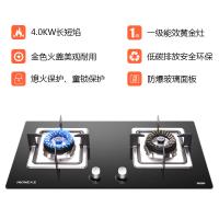 新品 火王(Hione) 黄金灶猛火灶2WJA/B2液化气4.0KW钢化玻璃嵌入式燃气灶煤气炉灶具火王燃气灶节能高效
