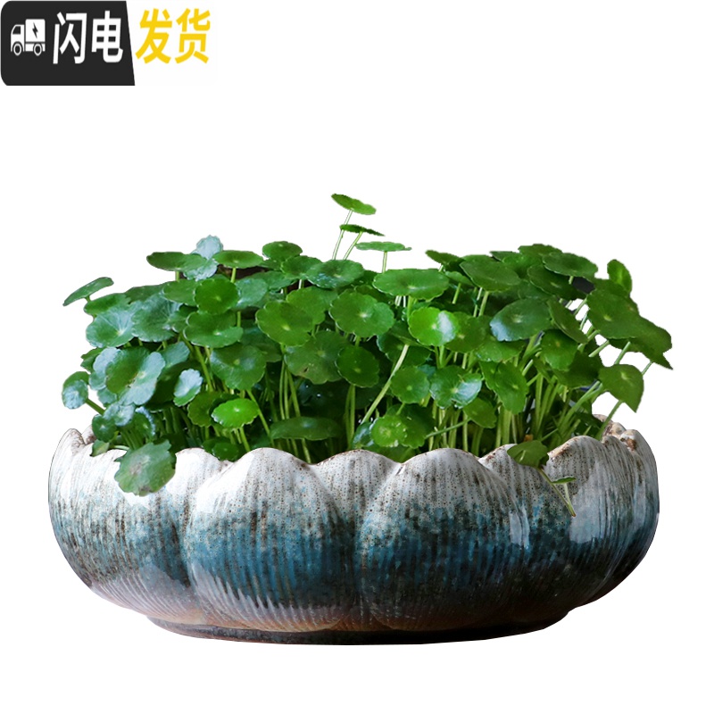 三维工匠铜钱花盆水仙花睡莲碗莲无孔家用陶瓷水养水培多肉大号 复古灰柱形(无孔) 大花盆容器高清大图