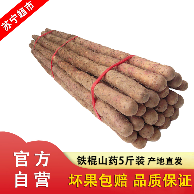 河北铁棍山药5斤 新鲜蔬菜家庭实惠装