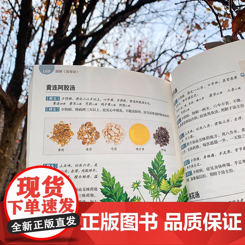 图解伤寒论 中医养生书籍中医养生养生书籍养生书养生书籍大全中医养生书籍大全黄帝内经人体经络穴位按摩大全四季养生全书高清大图