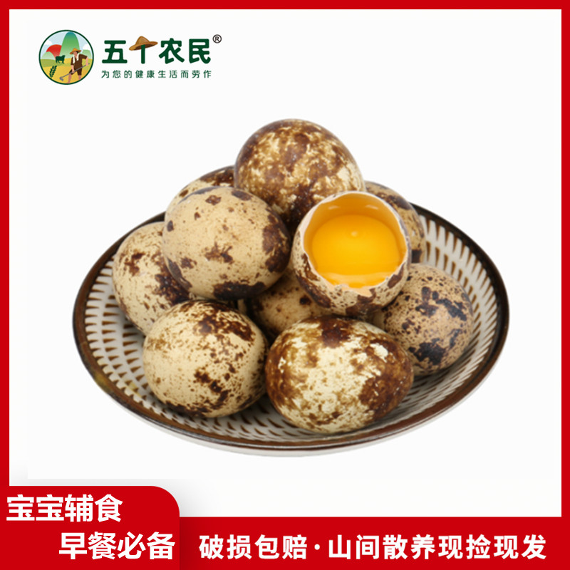 [五个农民]新鲜鹌鹑蛋 20枚装正宗孕妇宝宝辅食 土特产散养