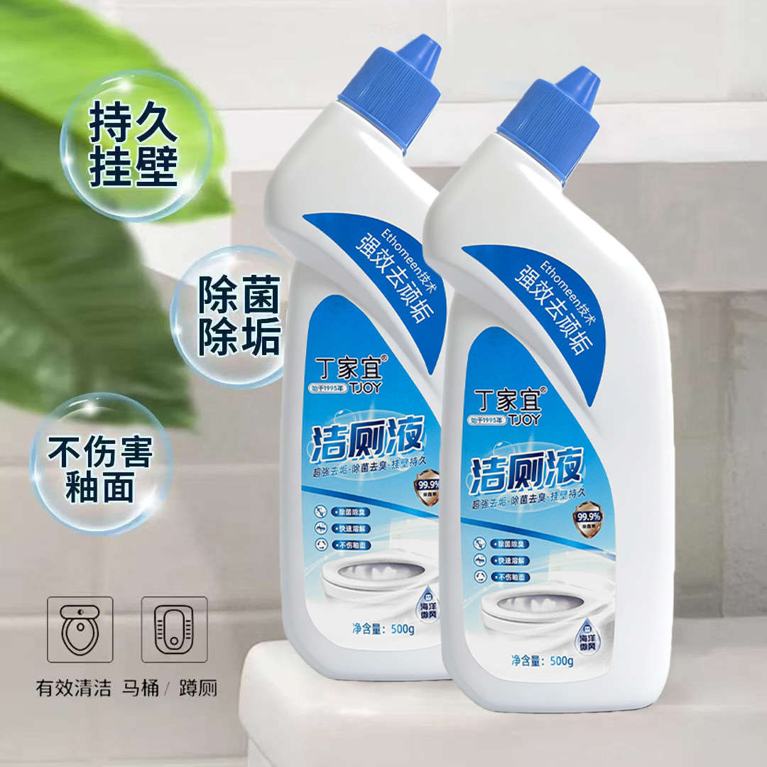 丁家宜洁厕液500g高清大图