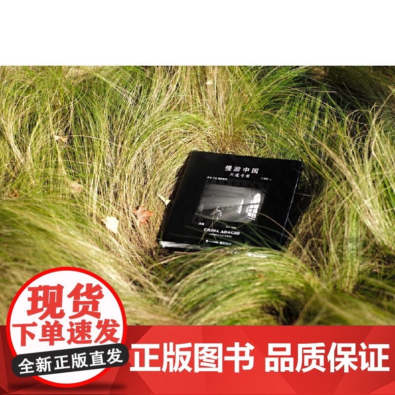 慢游中国:只道寻常 王身敦 电子工业出版社 正版书籍高清大图