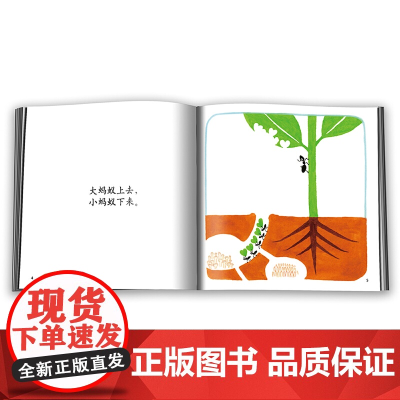 上去和下来 儿童硬壳绘0到3-6岁三四五岁半宝宝绘适合4-6岁宝宝看的书籍婴儿幼儿书早教启蒙认知睡前故事书籍经典高清大图