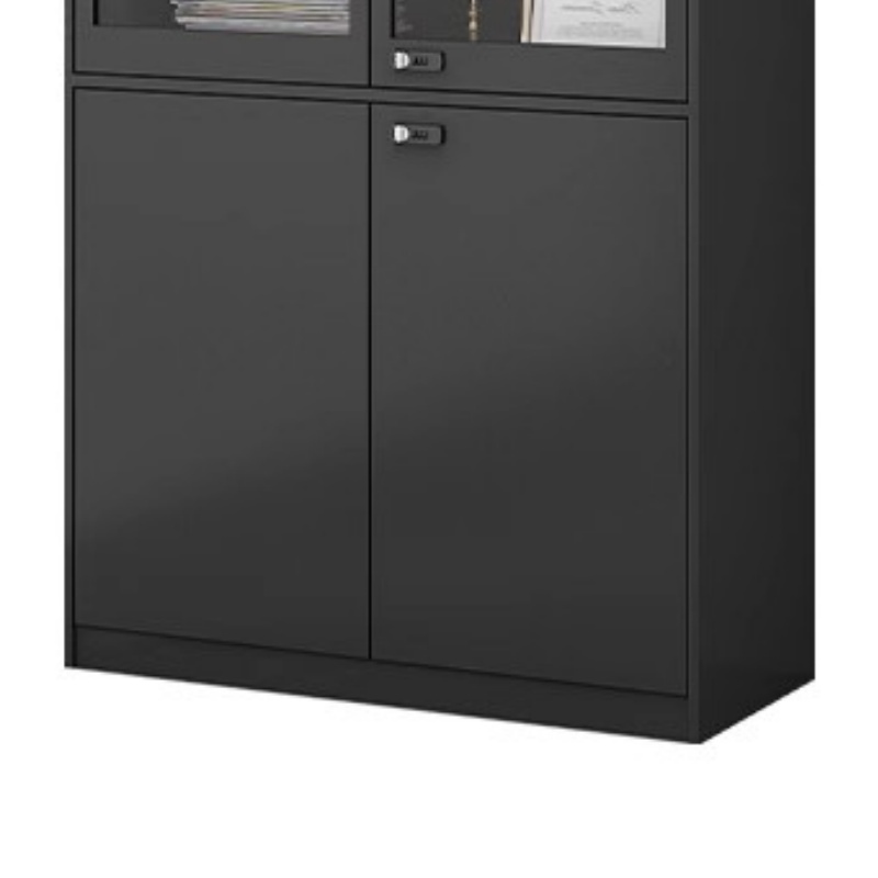 豫龙都 档案柜 通玻款 台高清大图