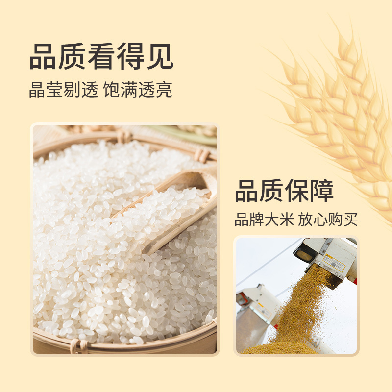 酥田大米南粳46当季新米5kg*2袋 圆粒米 软糯可口 粳米