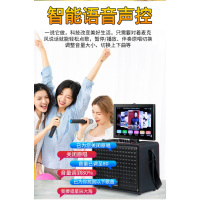 TEMEISHENG 特美声QX-0879户外视频音响显示屏家用KTV一体机唱歌便携蓝牙演唱音箱 QX-0879 双系统