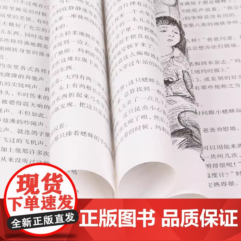 时代广场的蟋蟀(麦克米伦世纪大奖小说典藏本) 不老泉文库 6-7-9-10岁小学生儿童文学一二三四年级课外阅读书籍 正版