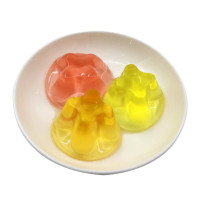 梦之源果冻500g 果肉夏季休闲儿童零食 Source of the dream