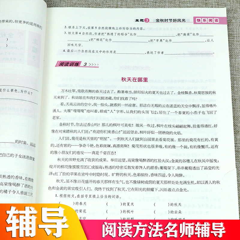 荣恒2020版三年级语文阅读理解训练阅读与写作通用版语文课本同步作文 小学生快乐阅读三年级阶梯训练阅读与写作