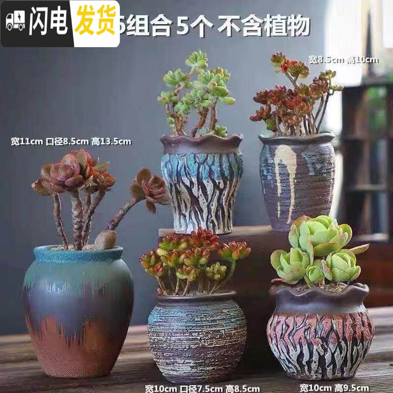 三维工匠多肉花盆陶瓷特价清仓粗陶透气室内简约肉肉盆栽特大口径花盆 DL手造-16组合5个 中等_994