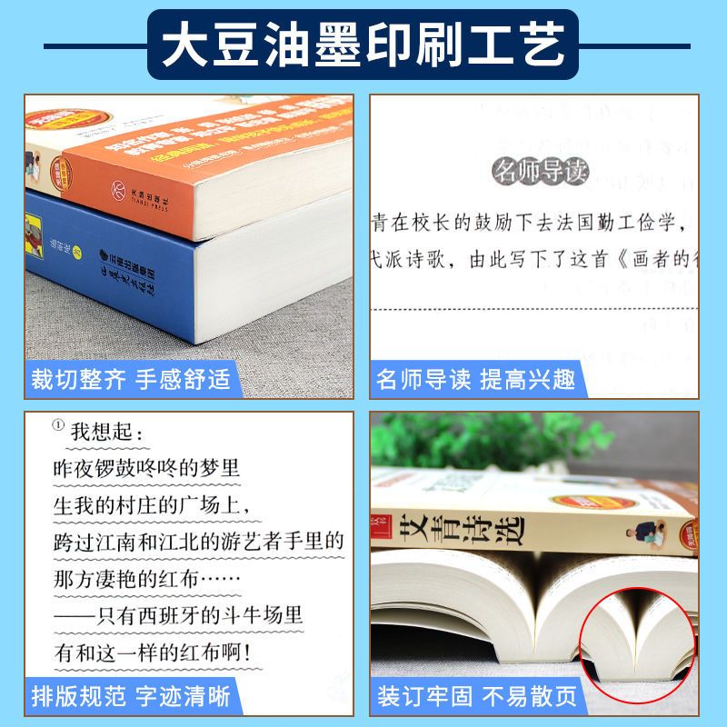 水浒传[删减版] 艾青诗选和水浒传学生正版原著初中九年级上册必读名著课外图书籍