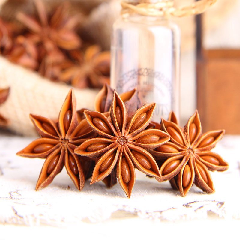 古福大料50g八角茴香炖肉卤料厨房调味火锅调料香辛料新老包装随机