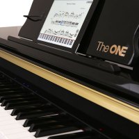 壹枱（The ONE）智能钢琴 烤漆版 88键重锤 电钢琴立式烤漆初学者家用成人电子数码钢琴 黑色 郎朗推荐并教学