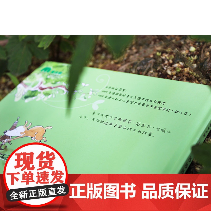 沙沙沙,发芽啦!(魔法象·图画书王国)高清大图