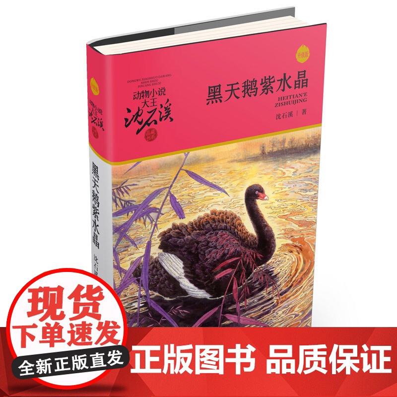 黑天鹅紫水晶 升级版 动物小说大王沈石溪品藏书系 正版 四年级课外阅读书目 小学生儿童文学 课外读物书籍高清大图