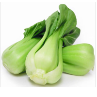 矮脚富士青梗菜种子上海青蔬菜