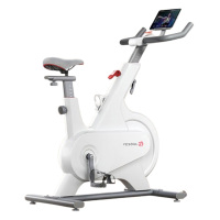 野小兽Mini动感单车家用磁控调阻力燃脂自行车M1P