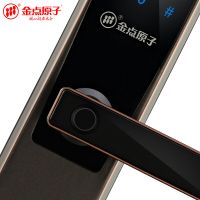 金点原子(GOLDATOM)指纹锁防盗门磁卡家用智能电子密码锁 远程APP JD6115 太空灰