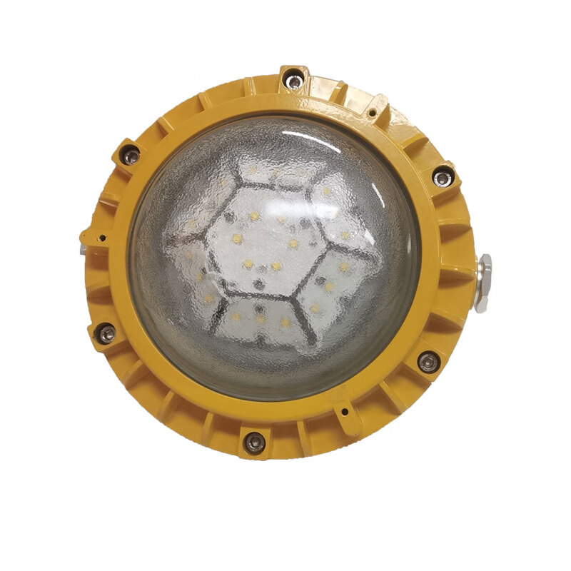光大特照 EBF605 (L/YJ)-20 20W 220V IP66 LED顶灯 (计价单位:个) 黄色高清大图