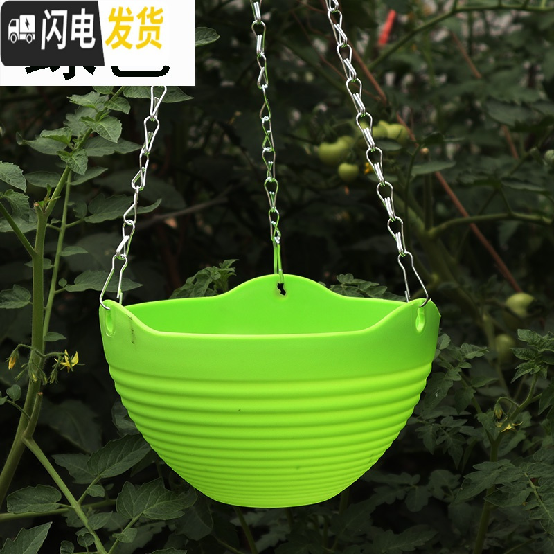 三维工匠吊兰花盆组合套餐大号绿萝挂盆送挂钩垂吊悬挂式塑料树脂吊篮花盆 绿色6个[送配件] 大号(口径24cm)花盆容器高清大图