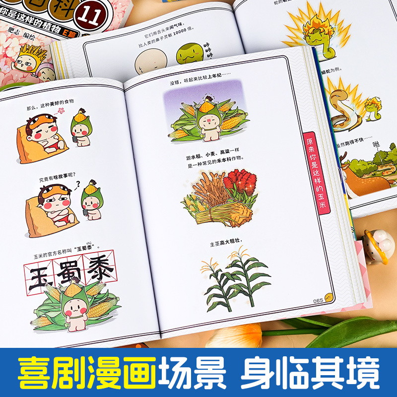 肥志百科4:动物B篇 [正版]肥志百科全套12册2024年新版原来你是这样的美食动物植物篇 如果历史是一群喵作者2024