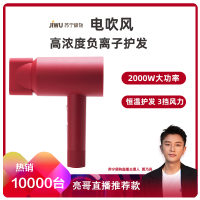 苏宁极物 电吹风机家用恒温负离子护发2000w大功率小巧便携冷热风三档低噪