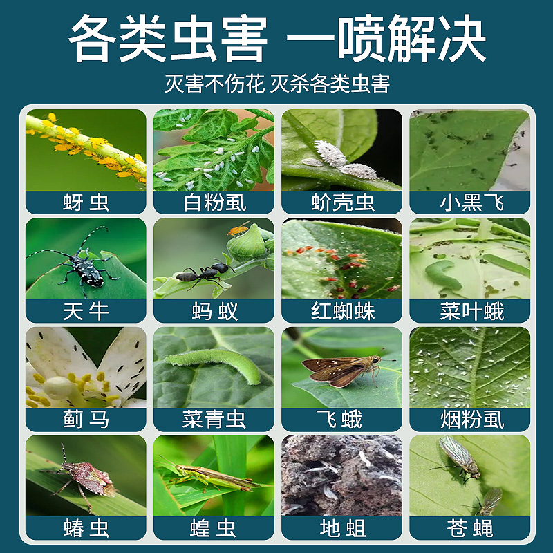杀虫药花卉植物杀虫剂花草蚜虫月季花病虫害室内花喷雾除虫剂[500ml*1瓶装]高清大图