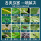 杀虫药花卉植物杀虫剂花草蚜虫月季花病虫害室内花喷雾除虫剂[500ml*1瓶装]