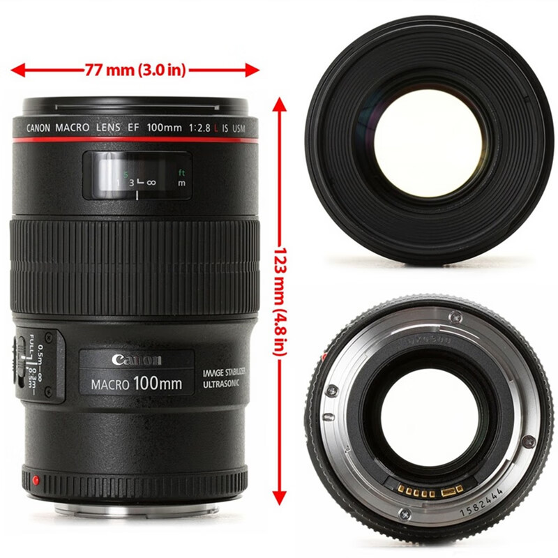 佳能(Canon)EF100mmf2.8LISUSM新百微微距镜头高清大图
