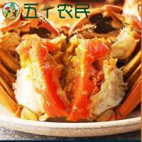 【鲜活大闸蟹】五个农民大闸蟹 3.0两公4只 2.0两母4只 4对装8只