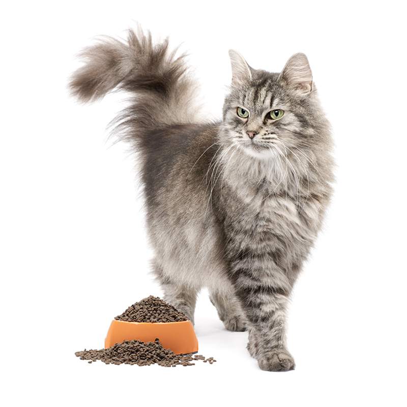 卫仕猫粮1.8kg全价成猫粮猫干粮营养增肥发腮英短美短天然无谷猫咪主粮