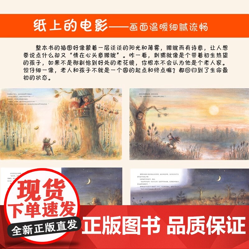 刺猬和金币精装硬壳绘本图画书儿童财商教育幼儿0-3-5-6岁培养宝宝理财好习惯养成 财商思维启蒙图画故事书籍耕林童书高清大图
