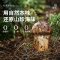 松鲜鲜松茸素蚝油0添加0防腐剂0蔗糖三重自然鲜香增味点蘸凉拌235g*4瓶