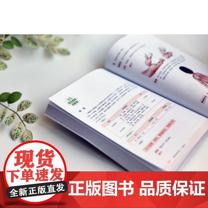 零基础推拿按摩入门(图解版)正版书籍高清大图