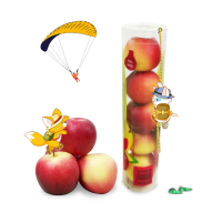 PAGODA百果园店[应季甄选]-乐淇苹果(5个装)2条(约300g/条)火箭筒苹果时令水果