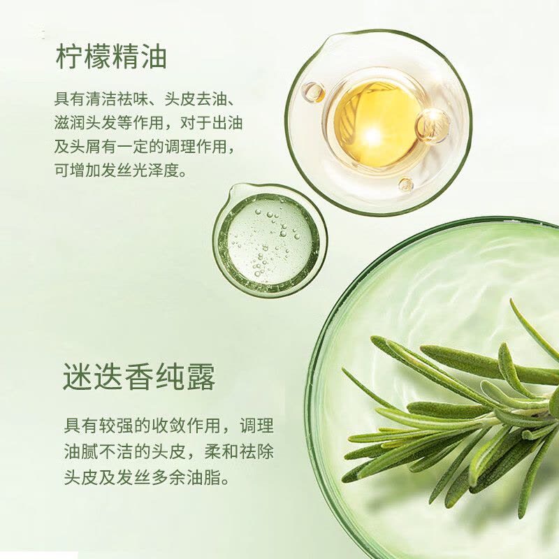 丰采 628g 去油蓬松 洗发水 绿色图片