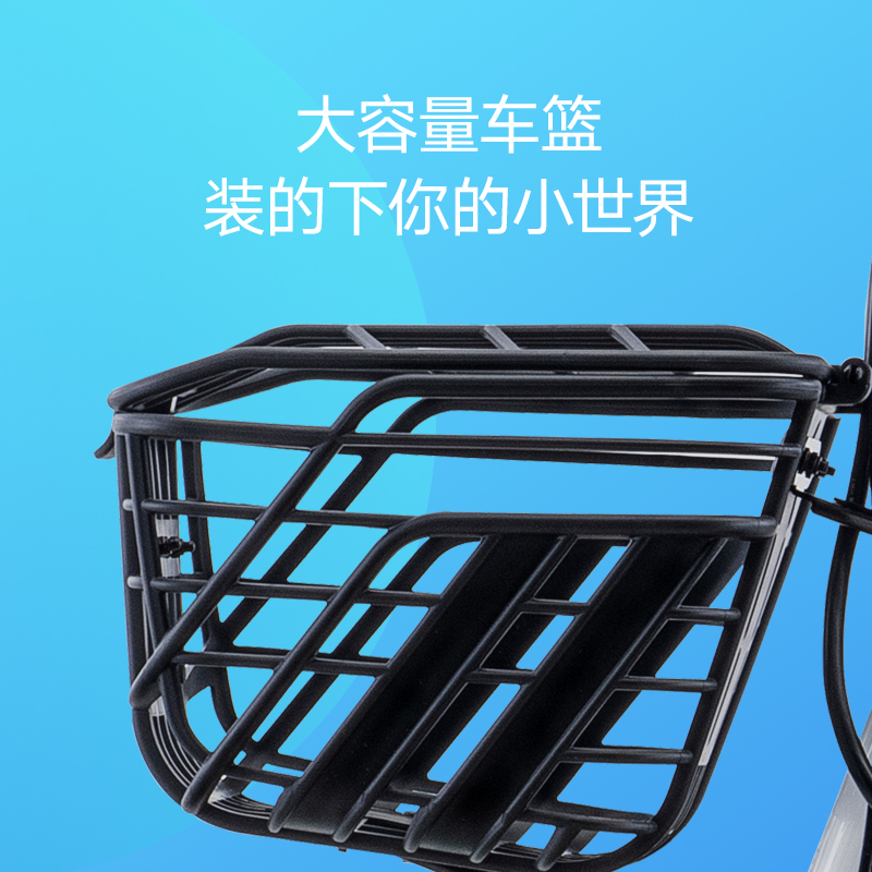 雅迪新款电动车乐萌48V12Ah铅酸电池电动自行车轻便代步小型电瓶车白色