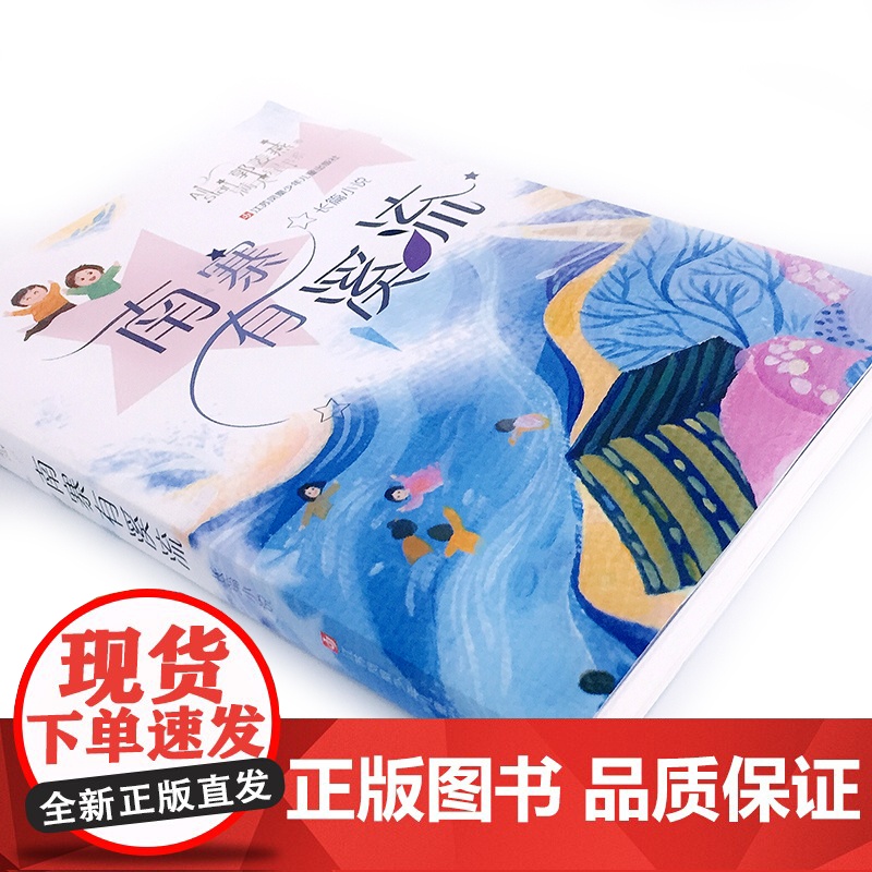 南寨有溪流/郭姜燕满天星书系 儿童心灵成长 长篇小说 暑假阅读书目高清大图