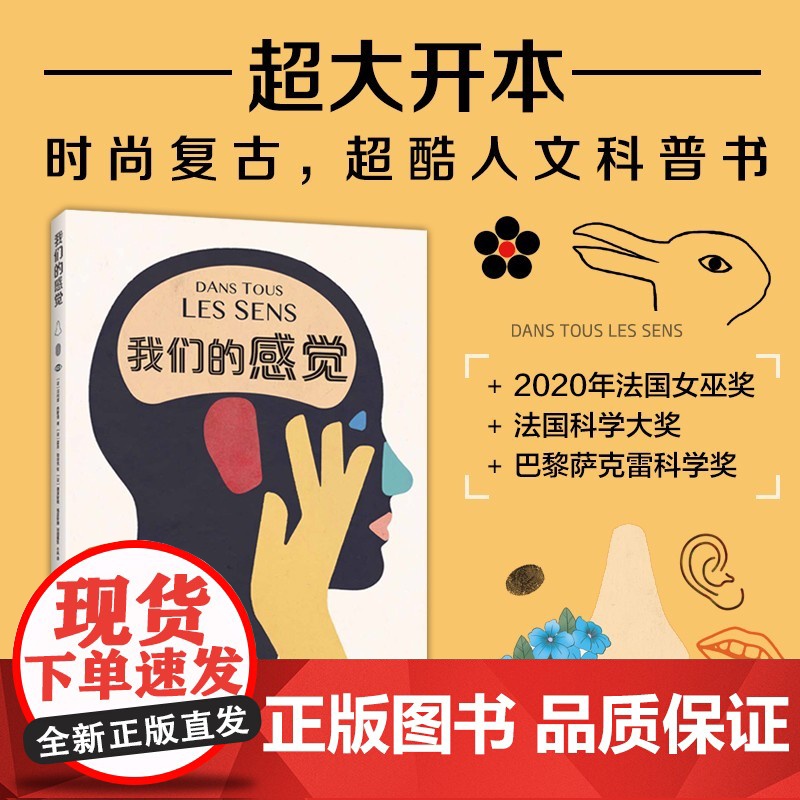 我们的感觉 7-14岁 菲利普 内斯曼 著 童书科普高清大图