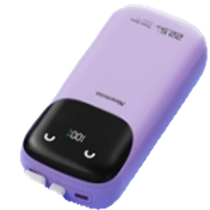 纽曼(Newmine)AL28充电宝 超级快充移动电源 10000mAh(单位:个) 紫色