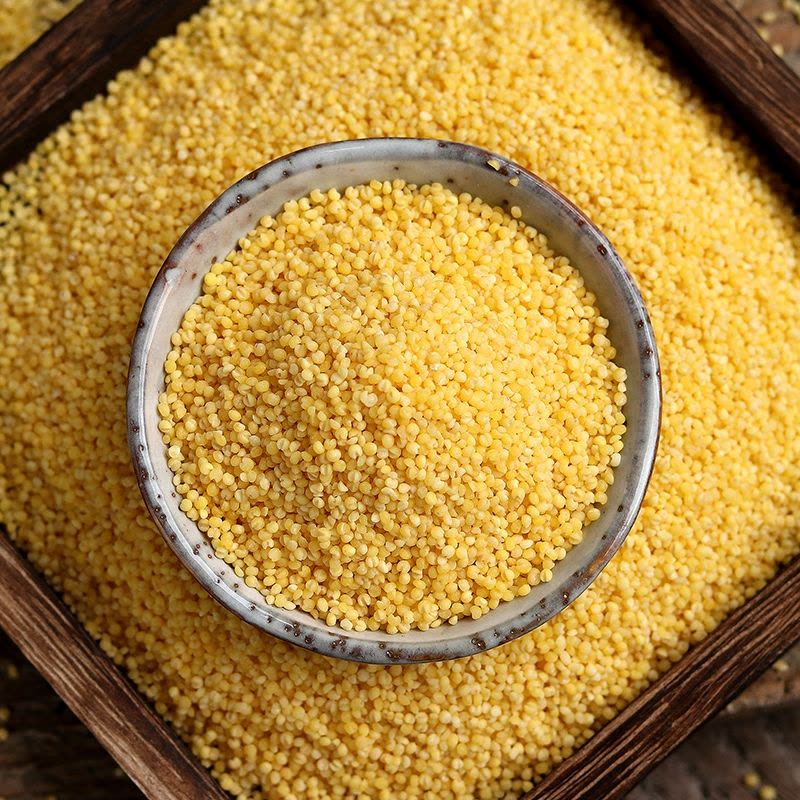 汾都香500克山西小米黄小米精品石磨月子米五谷杂粮小米饭养胃米一斤装图片