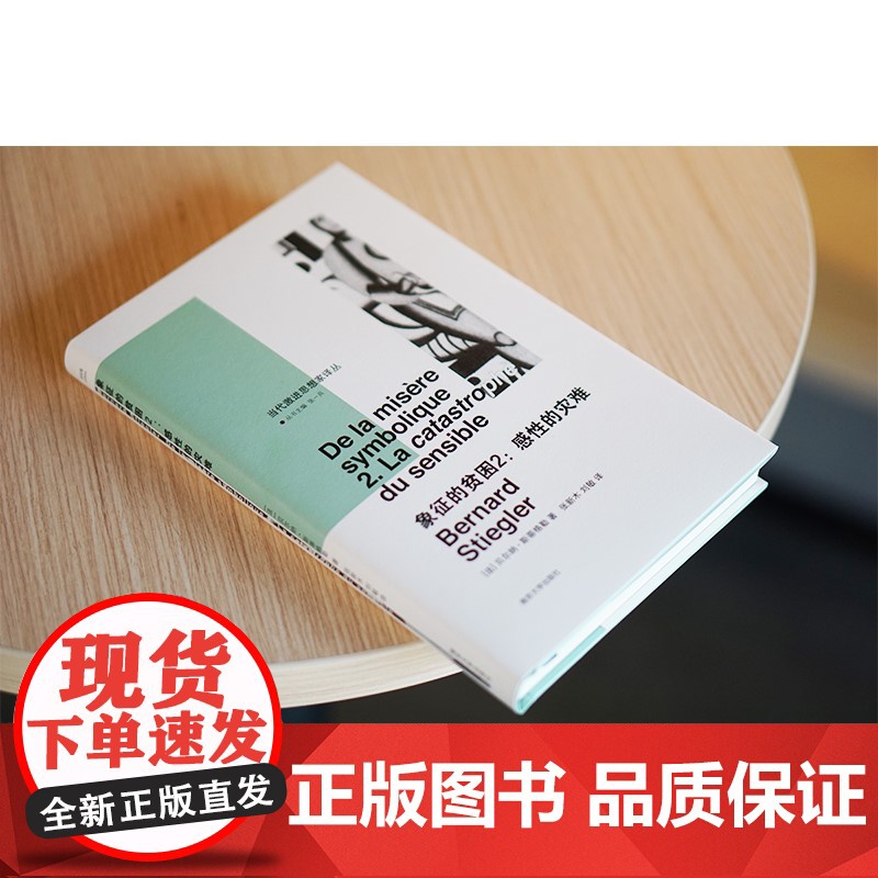 象征的贫困2 贝尔纳·斯蒂格勒 著 社会科学高清大图