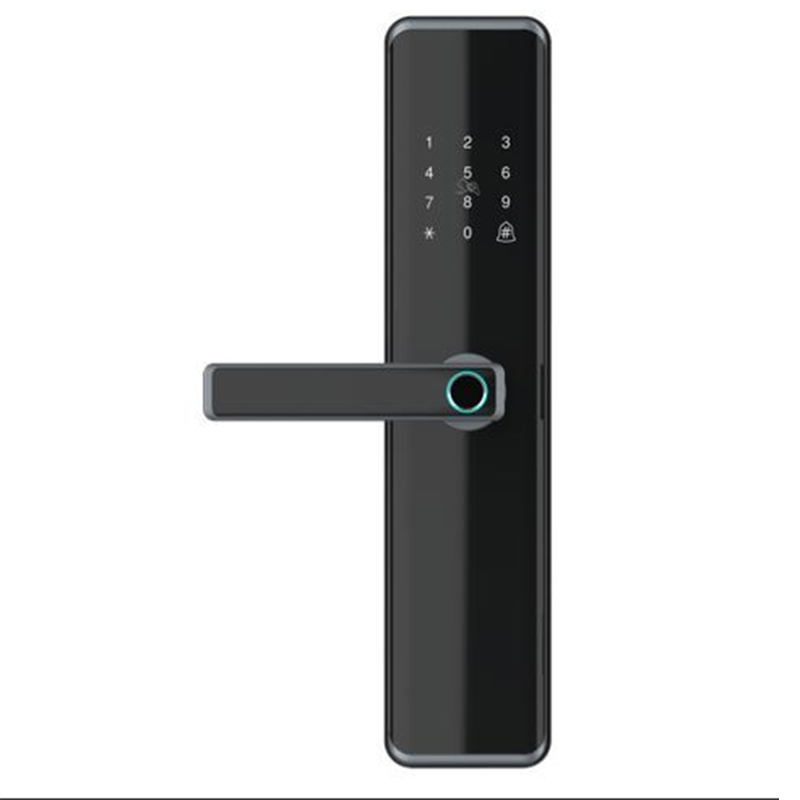 涂鸦(tuya) 锌合金面板防盗防撬智能门锁 dl112