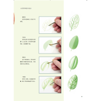 [正版] 英国皇家植物园植物画教程 水彩画技巧书籍