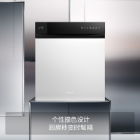 方太嵌入式熊猫洗碗机02-B-V6 100℃蒸汽除菌 洗消烘99.9999%除菌率 16套大容量 10+5洗涤程序