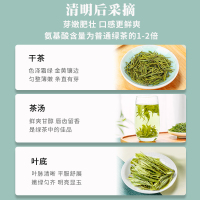 溧阳天目湖白茶2022新茶上市春茶江苏常州特产绿茶浓香型耐泡茗茶麓雨散装绿茶袋装罐装茶叶100克