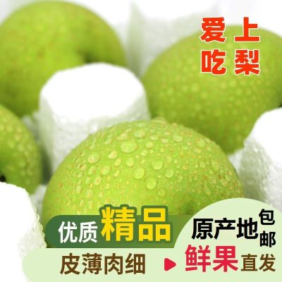 (买3斤送2斤)砀山青皮香梨翠冠梨整箱5斤梨子新鲜当季果园直采砀山脆梨水果 甜脆多汁